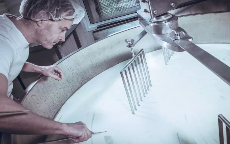 Jetzt bewerben als Produktionsmitarbeiter (m/w/d) - im 3-Schichtbetrieb (Lebensmittel) in Wiener Neustadt (Bezirk)